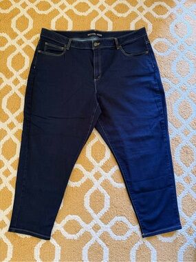 Michael Kors Navy Stretch Jeggings - Slim Fit